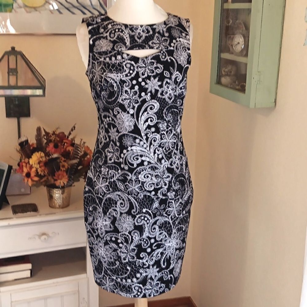 Enfocus Studio Black and White Dress